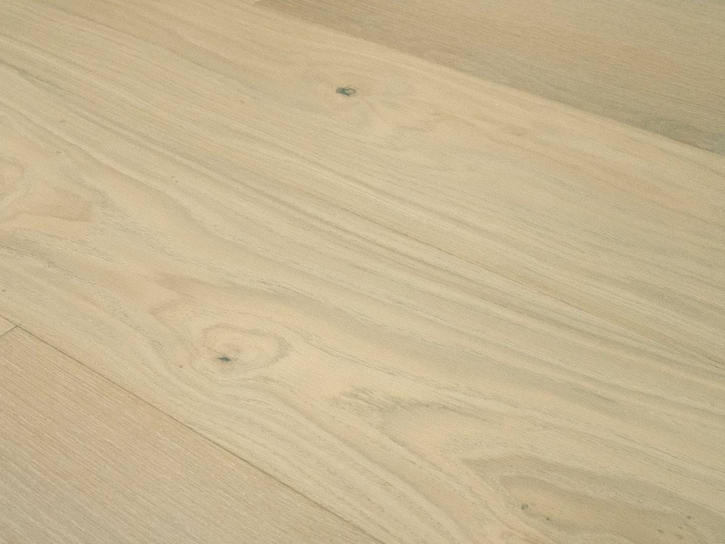 Terreno EURO OAK SESIA