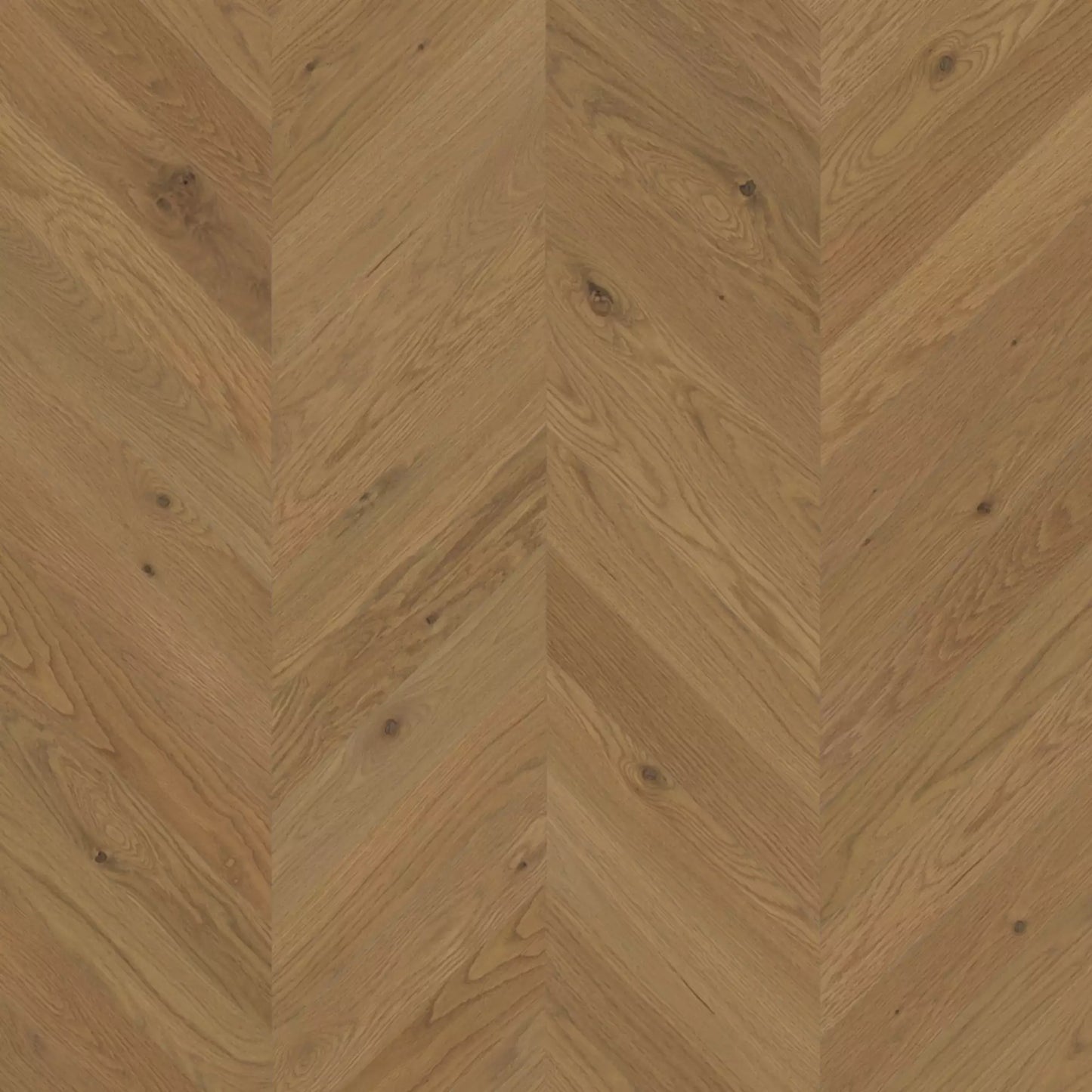 White Oak Amelia Brushed DuraMatt®