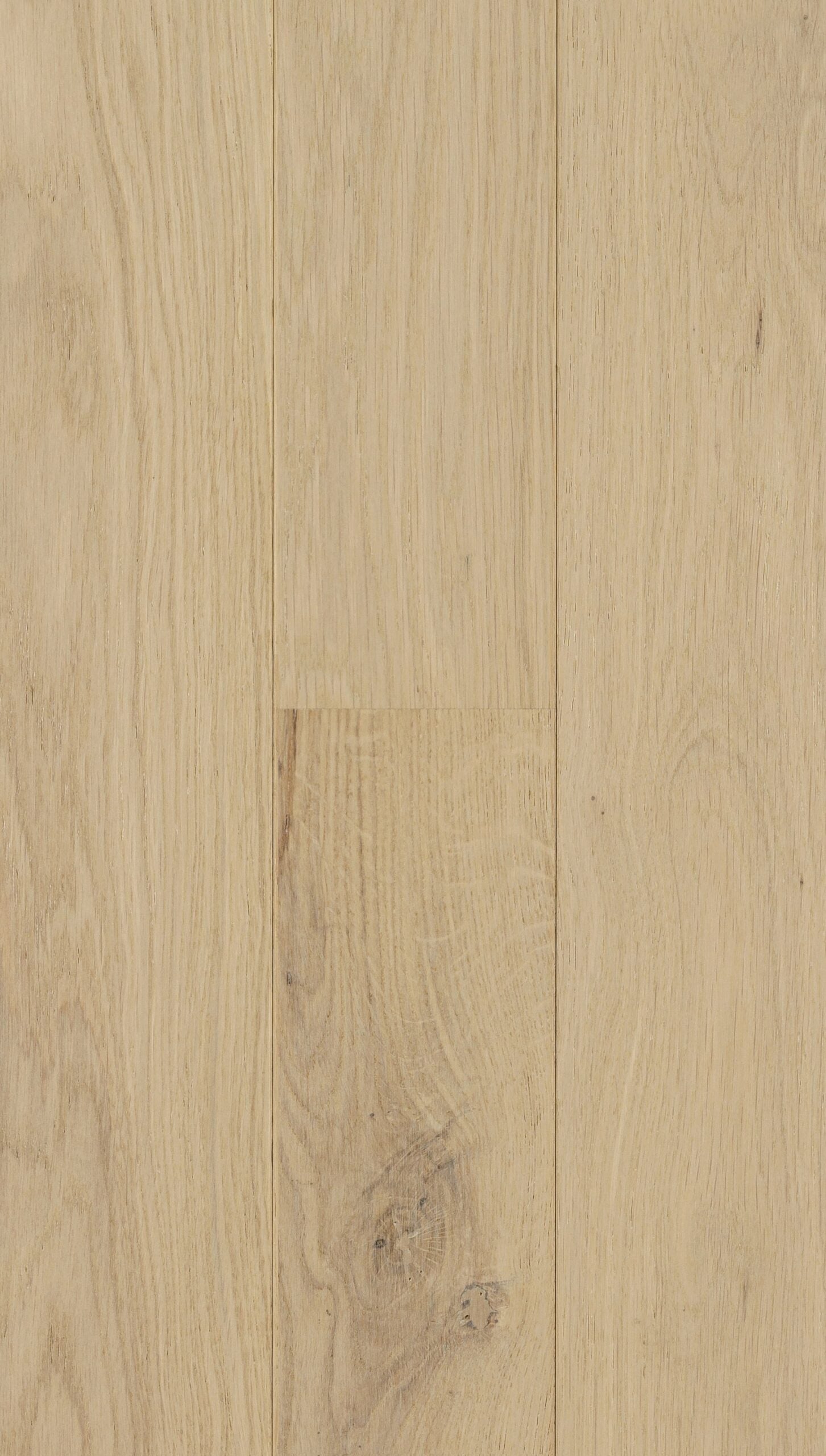 Wide Plank European White Oak Cotton Southwest Floor Design